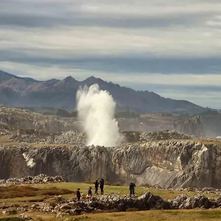 Luz De Poniente 利亚内斯
