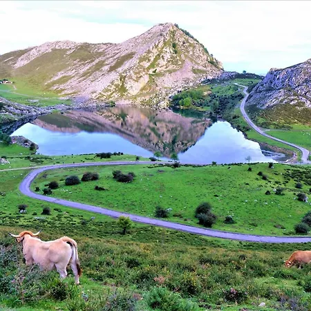 Luz De Poniente * 利亚内斯